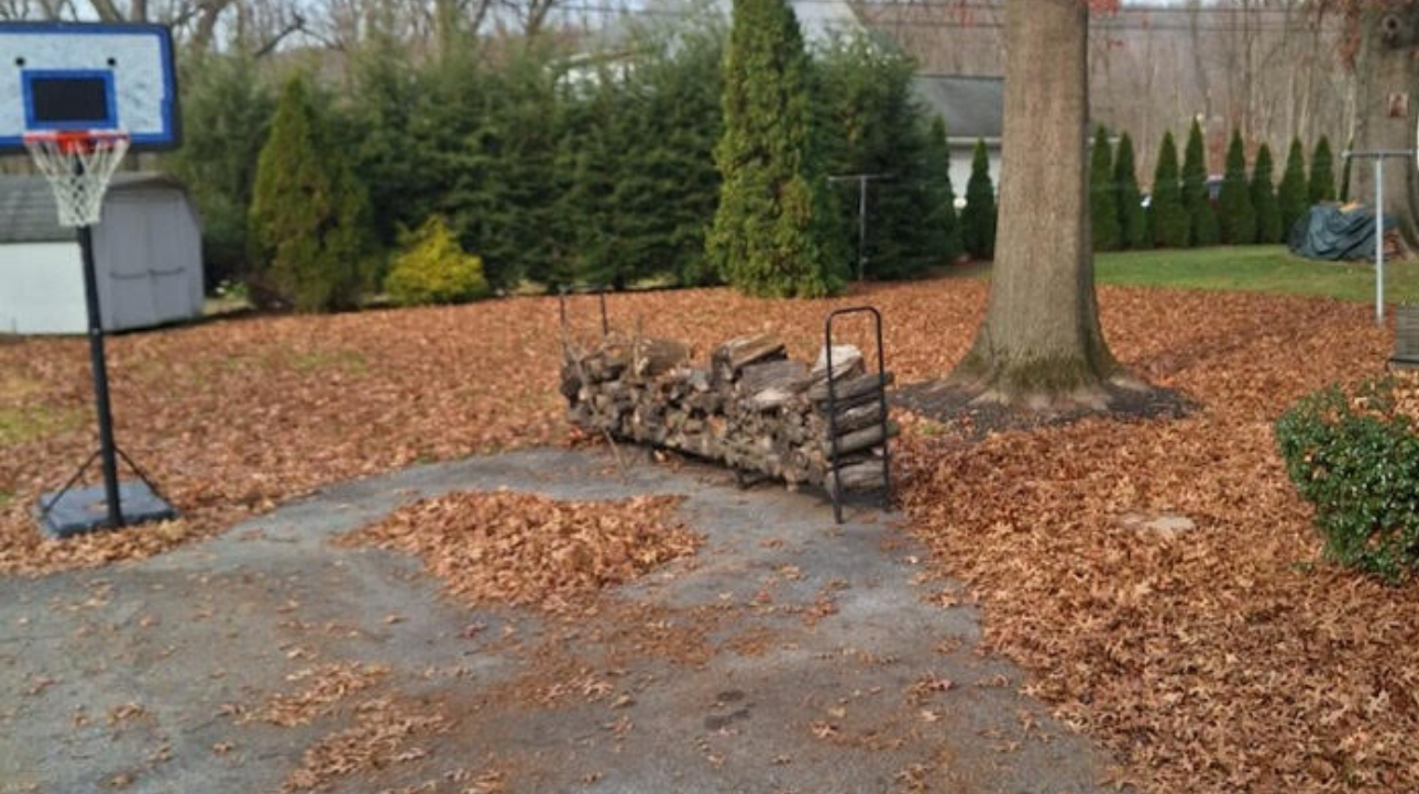 leafremoval-before